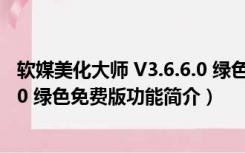 软媒美化大师 V3.6.6.0 绿色免费版（软媒美化大师 V3.6.6.0 绿色免费版功能简介）