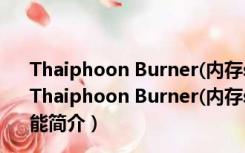 Thaiphoon Burner(内存spd修改工具) V7.1.1.0 绿色版（Thaiphoon Burner(内存spd修改工具) V7.1.1.0 绿色版功能简介）