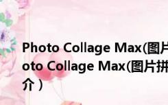 Photo Collage Max(图片拼贴软件) V2.3.2.6 免费版（Photo Collage Max(图片拼贴软件) V2.3.2.6 免费版功能简介）