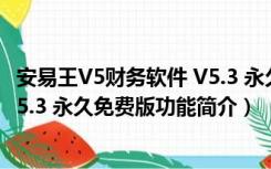 安易王V5财务软件 V5.3 永久免费版（安易王V5财务软件 V5.3 永久免费版功能简介）