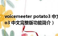 voicemeeter potato3 中文完整版（voicemeeter potato3 中文完整版功能简介）