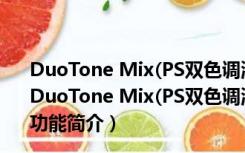 DuoTone Mix(PS双色调混合调色扩展面板) V1.0 免费版（DuoTone Mix(PS双色调混合调色扩展面板) V1.0 免费版功能简介）