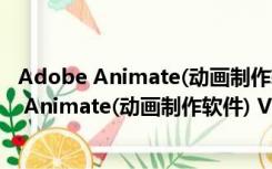 Adobe Animate(动画制作软件) V20.5.1 免费版（Adobe Animate(动画制作软件) V20.5.1 免费版功能简介）