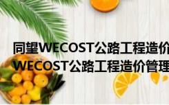 同望WECOST公路工程造价管理软件 V9.2.0 官方版（同望WECOST公路工程造价管理软件 V9.2.0 官方版功能简介）