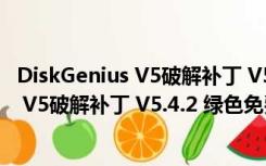 DiskGenius V5破解补丁 V5.4.2 绿色免费版（DiskGenius V5破解补丁 V5.4.2 绿色免费版功能简介）