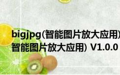 bigjpg(智能图片放大应用) V1.0.0 最新本地版（bigjpg(智能图片放大应用) V1.0.0 最新本地版功能简介）