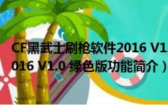 CF黑武士刷枪软件2016 V1.0 绿色版（CF黑武士刷枪软件2016 V1.0 绿色版功能简介）