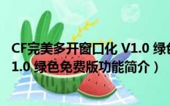 CF完美多开窗口化 V1.0 绿色免费版（CF完美多开窗口化 V1.0 绿色免费版功能简介）