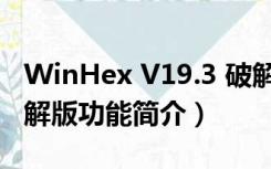 WinHex V19.3 破解版（WinHex V19.3 破解版功能简介）