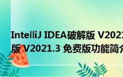 IntelliJ IDEA破解版 V2021.3 免费版（IntelliJ IDEA破解版 V2021.3 免费版功能简介）