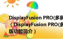 DisplayFusion PRO(多屏幕管理软件) V9.0.0 绿色破解版（DisplayFusion PRO(多屏幕管理软件) V9.0.0 绿色破解版功能简介）