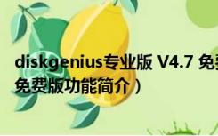 diskgenius专业版 V4.7 免费版（diskgenius专业版 V4.7 免费版功能简介）