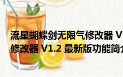 流星蝴蝶剑无限气修改器 V1.2 最新版（流星蝴蝶剑无限气修改器 V1.2 最新版功能简介）