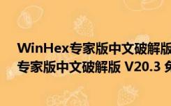 WinHex专家版中文破解版 V20.3 免注册码版（WinHex专家版中文破解版 V20.3 免注册码版功能简介）