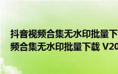 抖音视频合集无水印批量下载 V2021 吾爱破解版（抖音视频合集无水印批量下载 V2021 吾爱破解版功能简介）