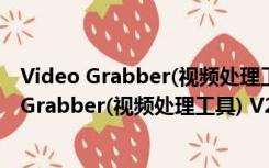 Video Grabber(视频处理工具) V2.0.6.3 Mac版（Video Grabber(视频处理工具) V2.0.6.3 Mac版功能简介）