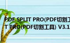 PDF SPLIT PRO(PDF切割工具) V3.1.1 官方版（PDF SPLIT PRO(PDF切割工具) V3.1.1 官方版功能简介）