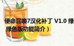 使命召唤7汉化补丁 V1.0 绿色版（使命召唤7汉化补丁 V1.0 绿色版功能简介）