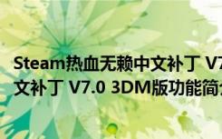 Steam热血无赖中文补丁 V7.0 3DM版（Steam热血无赖中文补丁 V7.0 3DM版功能简介）