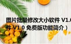 图片批量修改大小软件 V1.0 免费版（图片批量修改大小软件 V1.0 免费版功能简介）