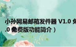 小孙网易邮箱发件器 V1.0 免费版（小孙网易邮箱发件器 V1.0 免费版功能简介）