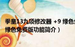 拳皇13九项修改器 +9 绿色免费版（拳皇13九项修改器 +9 绿色免费版功能简介）