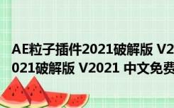 AE粒子插件2021破解版 V2021 中文免费版（AE粒子插件2021破解版 V2021 中文免费版功能简介）