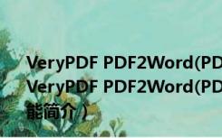 VeryPDF PDF2Word(PDF转Word转换器) V3.0 汉化版（VeryPDF PDF2Word(PDF转Word转换器) V3.0 汉化版功能简介）