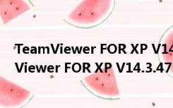 TeamViewer FOR XP V14.3.4730.0 官方免费版（TeamViewer FOR XP V14.3.4730.0 官方免费版功能简介）