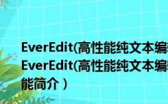 EverEdit(高性能纯文本编辑器) V4.2.0.4461 官方最新版（EverEdit(高性能纯文本编辑器) V4.2.0.4461 官方最新版功能简介）