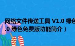 网络文件传送工具 V1.0 绿色免费版（网络文件传送工具 V1.0 绿色免费版功能简介）