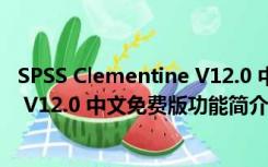 SPSS Clementine V12.0 中文免费版（SPSS Clementine V12.0 中文免费版功能简介）