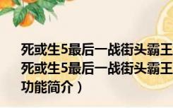 死或生5最后一战街头霸王女神英格丽德套装MOD 免费版（死或生5最后一战街头霸王女神英格丽德套装MOD 免费版功能简介）