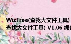 WizTree(查找大文件工具) V1.06 绿色免费版（WizTree(查找大文件工具) V1.06 绿色免费版功能简介）