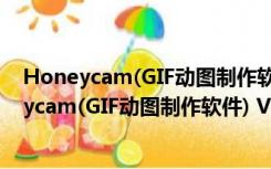 Honeycam(GIF动图制作软件) V3.50 官方最新版（Honeycam(GIF动图制作软件) V3.50 官方最新版功能简介）