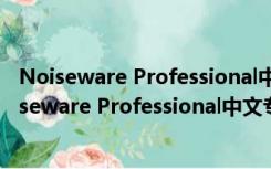 Noiseware Professional中文专业版 V5.0.3 免费版（Noiseware Professional中文专业版 V5.0.3 免费版功能简介）