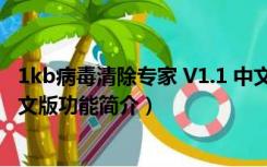 1kb病毒清除专家 V1.1 中文版（1kb病毒清除专家 V1.1 中文版功能简介）