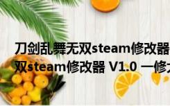 刀剑乱舞无双steam修改器 V1.0 一修大师版（刀剑乱舞无双steam修改器 V1.0 一修大师版功能简介）