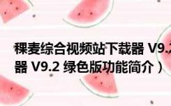 稞麦综合视频站下载器 V9.2 绿色版（稞麦综合视频站下载器 V9.2 绿色版功能简介）