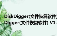 DiskDigger(文件恢复软件) V1.31.43.3019 试用版（DiskDigger(文件恢复软件) V1.31.43.3019 试用版功能简介）