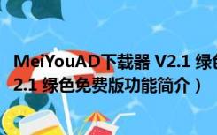 MeiYouAD下载器 V2.1 绿色免费版（MeiYouAD下载器 V2.1 绿色免费版功能简介）