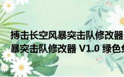 搏击长空风暴突击队修改器 V1.0 绿色免费版（搏击长空风暴突击队修改器 V1.0 绿色免费版功能简介）