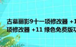 古墓丽影9十一项修改器 +11 绿色免费版（古墓丽影9十一项修改器 +11 绿色免费版功能简介）