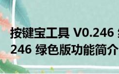 按键宝工具 V0.246 绿色版（按键宝工具 V0.246 绿色版功能简介）