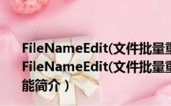 FileNameEdit(文件批量重命名工具) V1.3.1 绿色免费版（FileNameEdit(文件批量重命名工具) V1.3.1 绿色免费版功能简介）