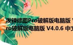 泼辣修图Pro破解版电脑版 V4.0.6 中文免费版（泼辣修图Pro破解版电脑版 V4.0.6 中文免费版功能简介）