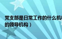 党支部是日常工作的什么机构（基层党委是党支部日常工作的领导机构）