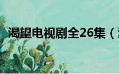 渴望电视剧全26集（渴望电视剧全集剧情）