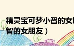 精灵宝可梦小智的女朋友大全（精灵宝可梦小智的女朋友）