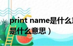 print name是什么意思中文（print name是什么意思）